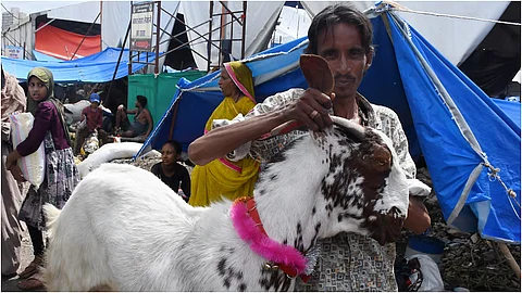 प्रातिनिधिक छायाचित्र