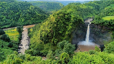 हिरवाई, धबधबे आणि धुके... पर्यटकांची नजर जव्हारकडे; दाभोसा धबधबा ठरतोय निसर्गप्रेमींचे मुख्य आकर्षण
