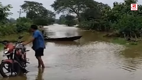 विदर्भात पावसाचे थैमान; चंद्रपूर जिल्ह्यातही धूमशान; नदी-नाले तुडुंब, अनेक मार्ग बंद