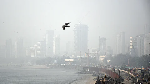 संग्रहित छायाचित्र