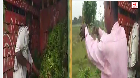 कोथींबीर, मेथीला मिळाला अवघा एक रुपया दर; जुड्या फेकल्या रस्त्यावर