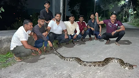 संग्रहित