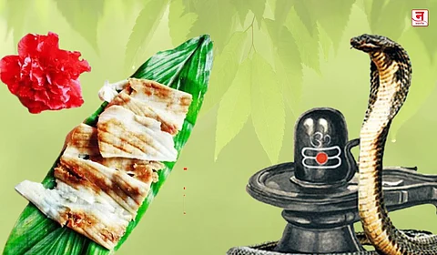 नागोबा भाऊराया, तुला वाहते दूधलाह्या