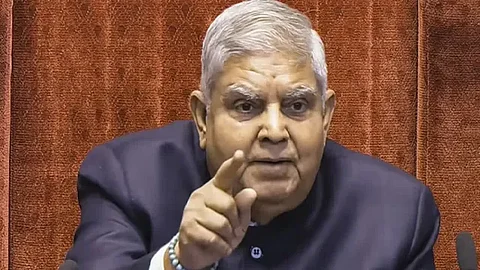 वाघावरची आत्मघातकी स्वारी