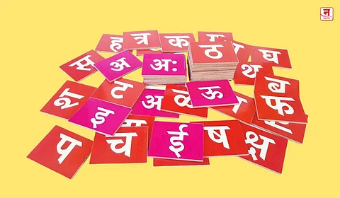 मातृभाषेचं जतन म्हणजे घरट्याचं रक्षण
