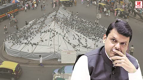 कबुतरखाना अचानक बंद करणे अयोग्य! देवेंद्र फडणवीस यांची भूमिका; दुष्परिणामांचा वैज्ञानिक पद्धतीने अभ्यास करणार