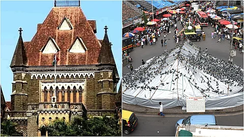कबुतरांना दाणे टाकण्यावर बंदी कायम; तोडगा काढण्यासाठी तज्ज्ञांची समिती स्थापन - हायकोर्ट