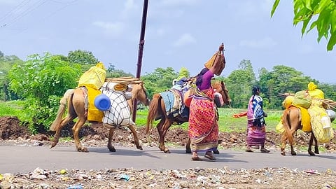 विमुक्त जाती, भटक्या जमातीतील नागरिकांना सरकारचा दिलासा; ओळखपत्रे, प्रमाणपत्रे, दस्तावेजांसाठी सुलभता