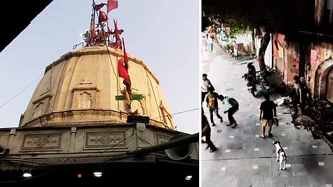Navi Delhi : भाविकांचे राक्षसी कृत्य! प्रसाद मिळाला नाही म्हणून सेवेकऱ्याला केले ठार