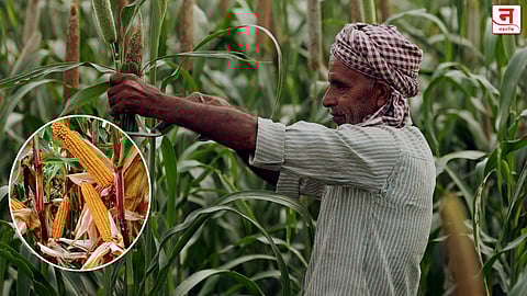 प्रातिनिधिक छायाचित्र