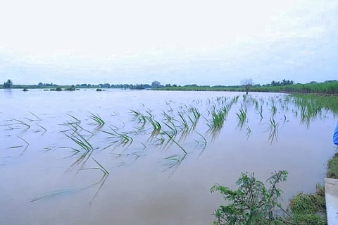 अनियंत्रित विकास मानवी मुळावर