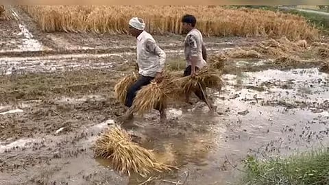 प्रातिनिधिक छायाचित्र