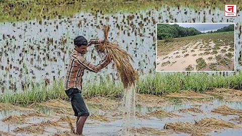 इच्छा असेल तर मार्ग निघेल