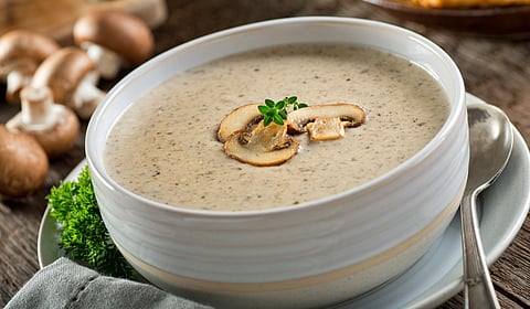 सर्दी-खोकला होईल झटकन दूर! प्या मस्त गरमागरम क्रिम गार्लिक मशरूम सूप