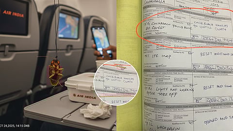 दिल्ली-दुबई विमानप्रवासात झुरळाला ‘फाशीची शिक्षा’! एअर इंडियाची ‘कारवाई’ इंटरनेटवर व्हायरल