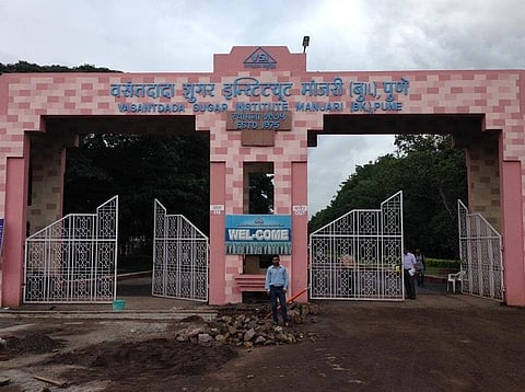 वसंतदादा शुगर इन्स्टिट्यूटच्या निधीची चौकशी होणार; राज्य सरकारकडून निधी तपासण्याचे आदेश