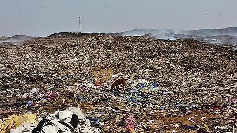 प्रातिनिधिक छायाचित्र