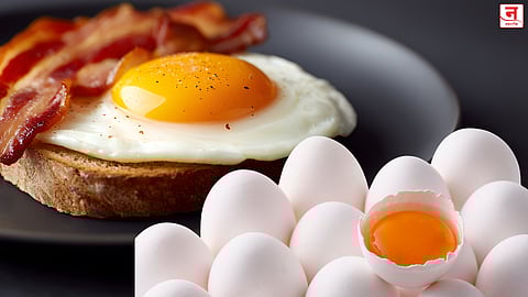अंड्याचा पिवळा भाग की पांढरा भाग अधिक फायदेशीर? जाणून घ्या तज्ज्ञांचं स्पष्ट मत