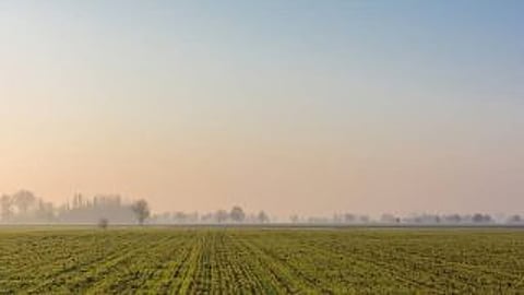 प्रातिनिधिक छायाचित्र