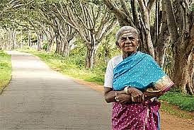 ज्येष्ठ पर्यावरणवादी थिमक्का यांचे निधन