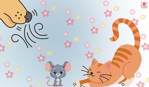 माझं नाक, माझी शक्ती!