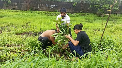 आता वृक्षारोपण क्षेत्र 'नो डेव्हलपमेंट झोन'; झाडांच्या सुरक्षेसाठी पहारेकऱ्यांची नजर; राज्य सरकारचा महत्त्वपूर्ण निर्णय
