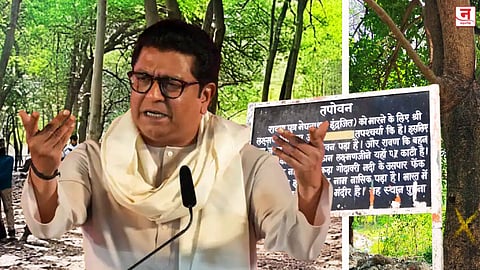 'साधूंच्या नावाने जमीन सपाट करायची, नंतर लाडक्या उद्योगपतीला...'; नाशिक कुंभसाठीच्या वृक्षतोडीवरून राज ठाकरेंचा सरकारवर निशाणा