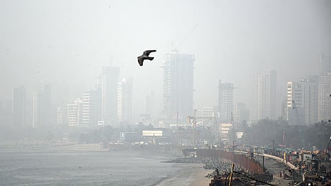 मुंबईतील एअर क्वालिटी सेन्सर्स बंद; बांधकाम परिसरात मोठ्या प्रमाणावर नियमबाह्य कारभार