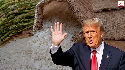 आता भारतीय तांदळावर दुप्पट टॅरिफ लावणार? डोनाल्ड ट्रम्प यांचे संकेत