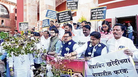 कापसाच्या माळा घालून विधिमंडळाच्या पायऱ्यांवर विरोधकांचे आंदोलन