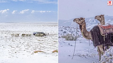 चक्क वाळवंटात बर्फवृष्टी! सौदी अरेबियात ३० वर्षांत पहिल्यांदाच Snowfall; काय आहे कारण?