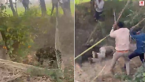 रानडुक्कराचा वन विभागाच्या पथकावर हल्ला; अधिकारी गंभीर जखमी; Video व्हायरल