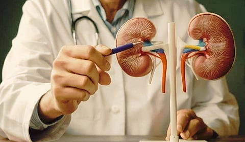 किडनी रॅकेटचे केंद्र तामिळनाडूत; दोन नामांकित डॉक्टरांची नावे उघड