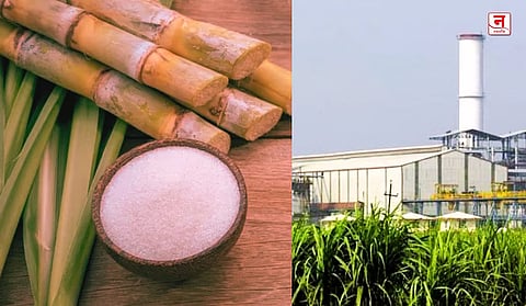 साखर कारखान्यांच्या गैरव्यवहाराची चौकशी होणार; २१ कारखान्यांवर कारवाईची टांगती तलवार; राज्य सरकारकडून समिती स्थापन