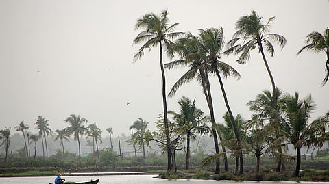 प्रातिनिधिक छायाचित्र