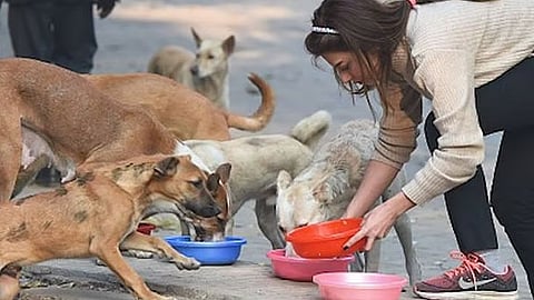 प्रातिनिधिक छायाचित्र