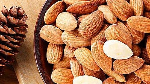 हिवाळ्यात बदाम खाल्ल्याने होतात महत्त्वाचे फायदे; तज्ज्ञ सांगतात...