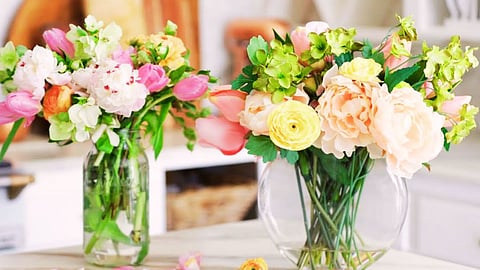 मुंबईकरांसाठी पर्वणी! राणीच्या बागेत तीन दिवसांचा पुष्पोत्सव, काय असणार खास?