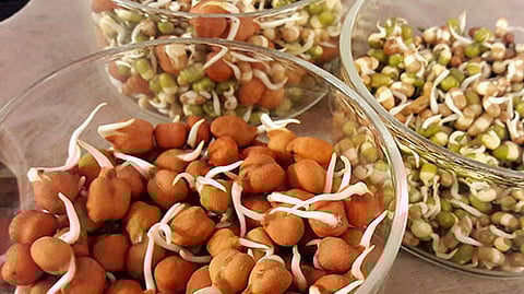 कडधान्य दिन विशेष: हेल्दी समजून मोड आलेली कडधान्यं खाताय? एक चूक झाली तर फायदा नाही, उलट होईल नुकसान