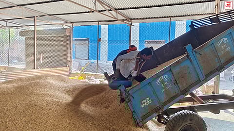 लासलगाव बाजारात सोयाबीन दरात ५०० रुपयांची घसरण; अमेरिका-भारत करारामुळे शेतकरी चिंतेत