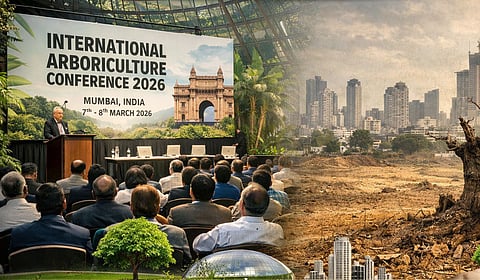 वाढत्या शहरांना हवे आहे हिरवे छत्र