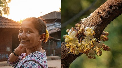 कोकणातील सुगंधित गाव - आसोली