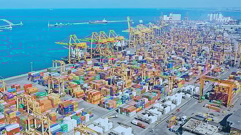 Palghar : 'मुरबे बंदर' प्रकल्पाच्या वैधतेवरच प्रश्नचिन्ह; केंद्र सरकारच्या तज्ज्ञ समितीचे ताशेरे