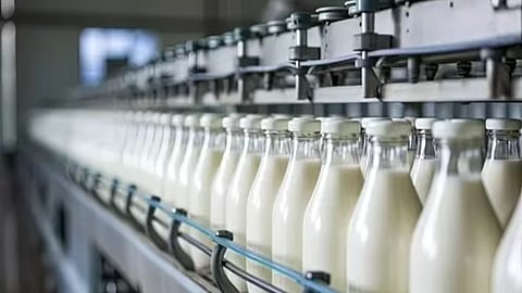दूध संकलन उद्योगांच्या वीजदरात कपात; मुख्यमंत्री देवेंद्र फडणवीस यांची माहिती, १ जुलैपासून नवे दर लागू होणार