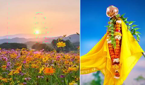 निसर्गाचा नवचैतन्य सोहळा