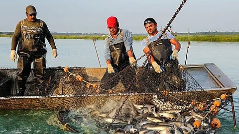 आखातातील युद्धाचा मच्छीमारांना मोठा फटका; मासेमारी साहित्याच्या किमतीत भरमसाठ वाढ