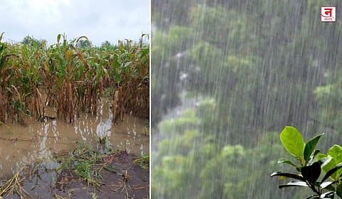 राज्यात अवकाळी पावसाचे थैमान; हजारो एकर पिकांचे नुकसान