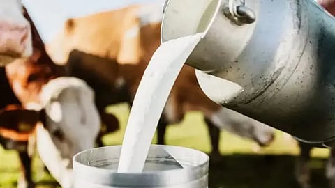 दूध भेसळखोरांना आता ‘मोक्का’; अन्न व औषध प्रशासन मंत्र्यांनी विधानपरिषदेत केली घोषणा