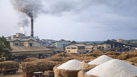 साखर कारखान्यांच्या आर्थिक सहाय्यासाठी समिती; तातडीने अहवाल सादर करण्याचे मुख्यमंत्र्यांचे निर्देश