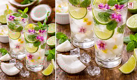 Summer Special : उन्हाळ्यात थंडावा देणारे खास पेय; वाचा 'कोकोनट लाइम कूलर' ची सोपी रेसिपी